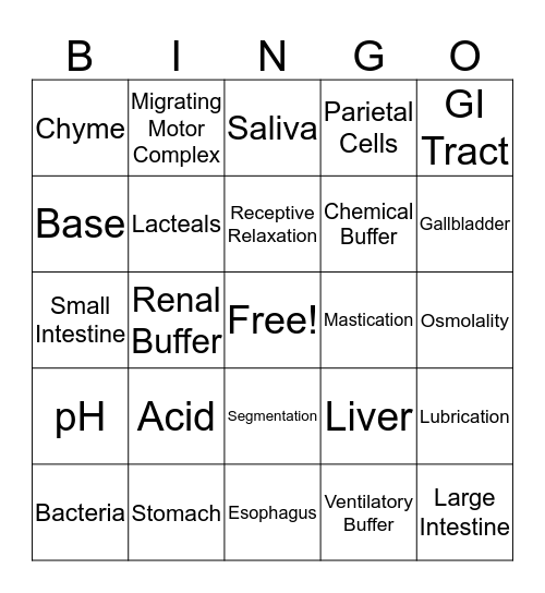 Digestion and Absorption  Bingo Card
