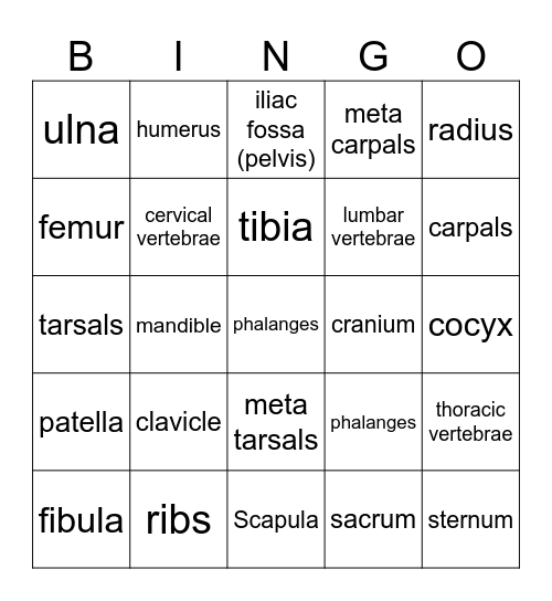 Bone Bingo Card