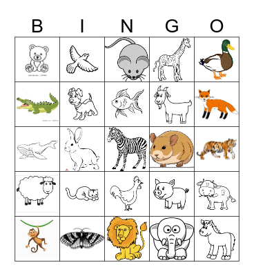 Animals Recap Bingo Card