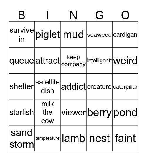 General Bingo Card