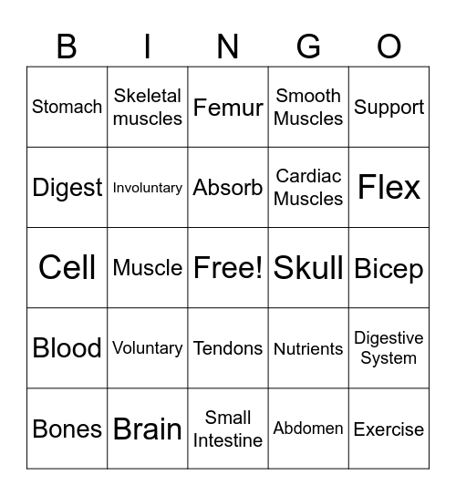 Skeletal, Muscular, and Digestive System Bingo Card