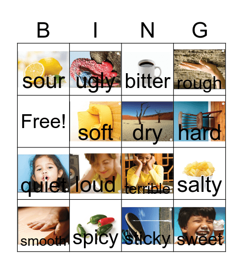 5 Sences Bingo Card
