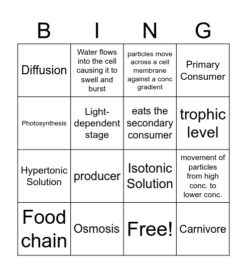 Cell Transport and Feeding Relationships Bingo Card