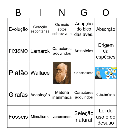 Bingo Evolutivo Bingo Card
