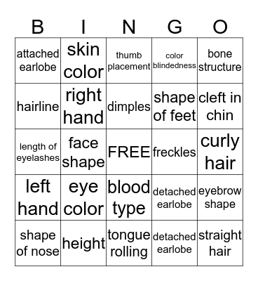 Inherited traits Bingo Card