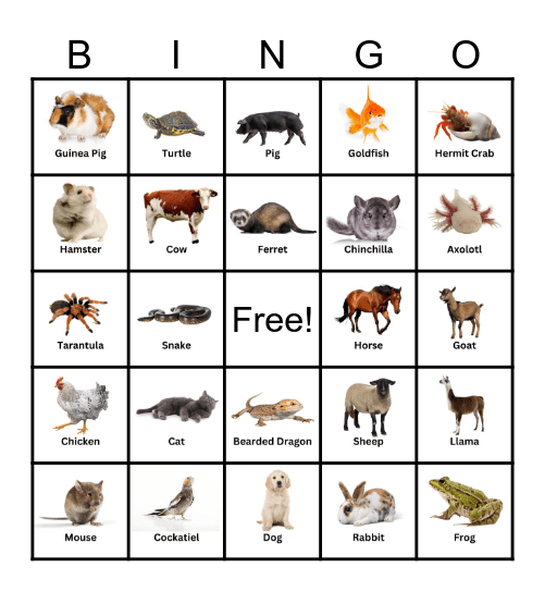 Pet Badge Bingo Card