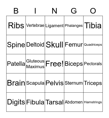 Skeletal/Muscular System Bingo Card