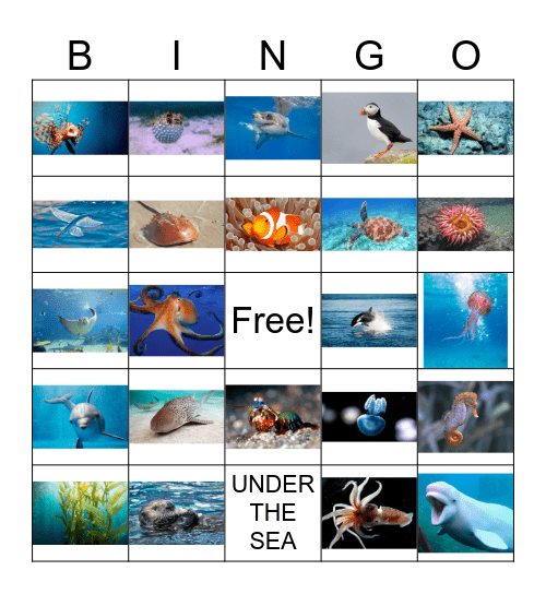 Ocean Bingo! Bingo Card