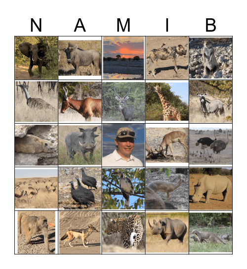 NAMIB Bingo Card