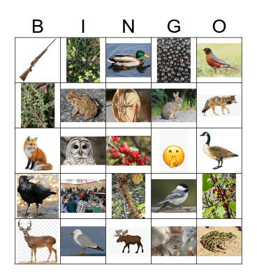 Northern Ontario Animals Bingo Card