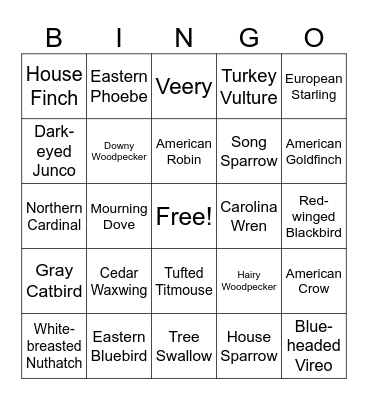 Birding Bingo Card