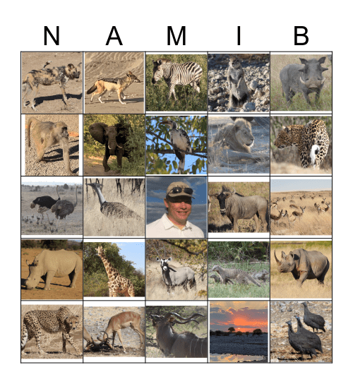 NAMIBIA Bingo Card