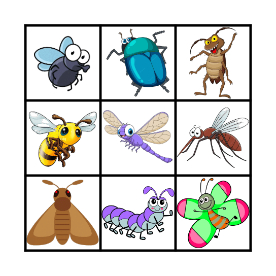 INSECTS! Bingo Card