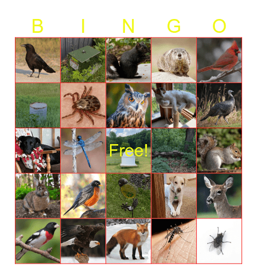 Falch BINGO! Bingo Card