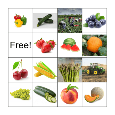 BINGO-LOTERIA Bingo Card