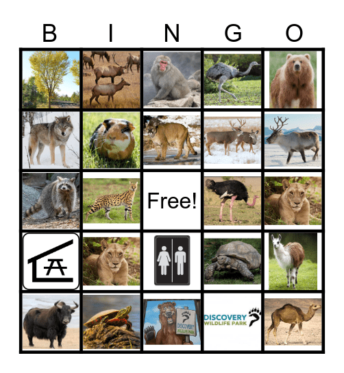 Discovery Wildlife Zoo Bingo Card