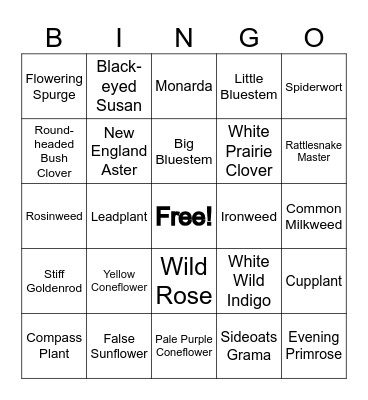 Prairie Bingo Card