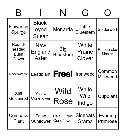 Prairie Bingo Card