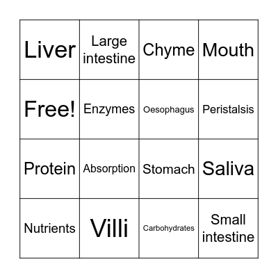 Digestive system Bingo Card