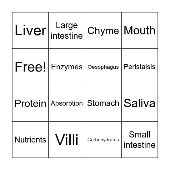 Digestive system Bingo Card