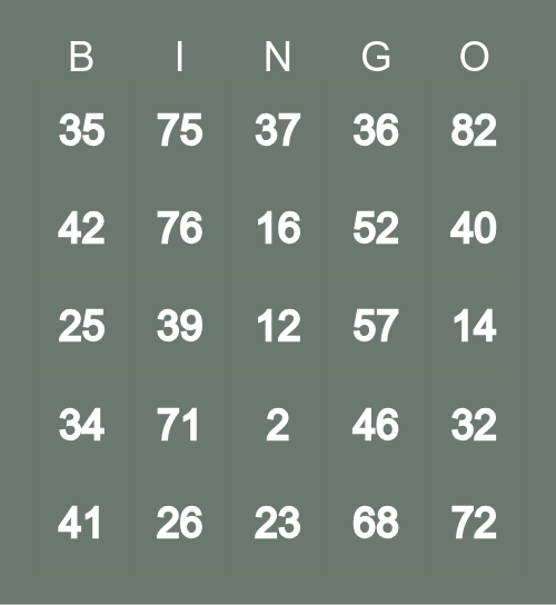 Number BINGO 1-90 Bingo Card