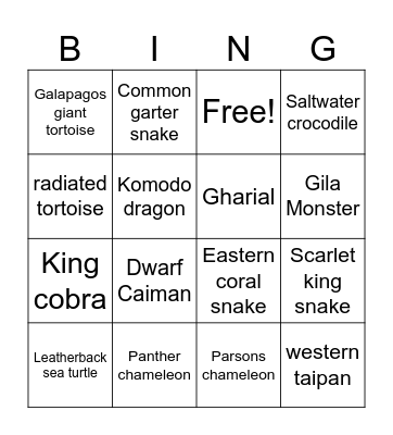 Reptile Bingo Card