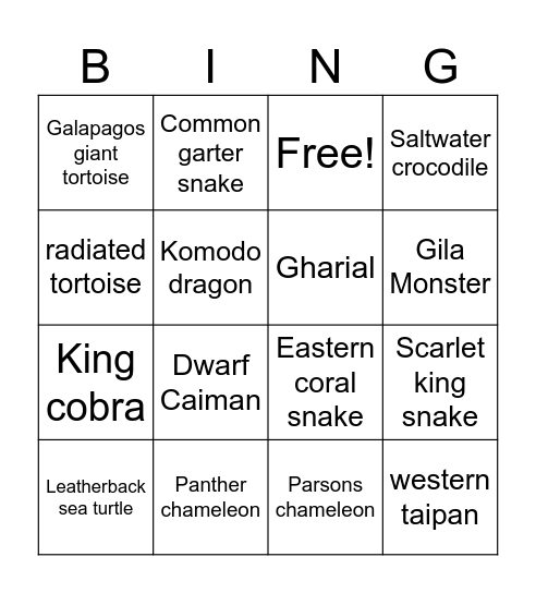 Reptile Bingo Card