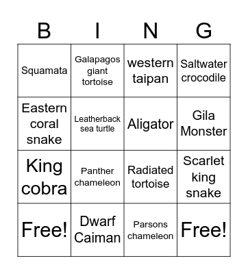 Reptile Bingo Card