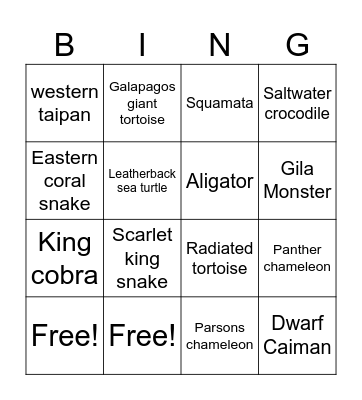 Reptile Bingo Card