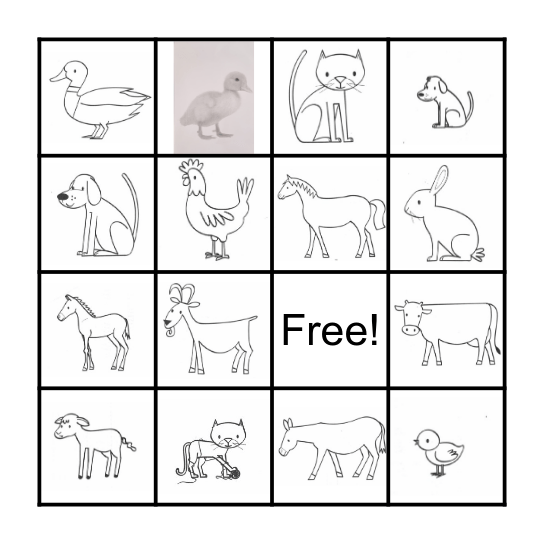 ANIMALS Bingo Card