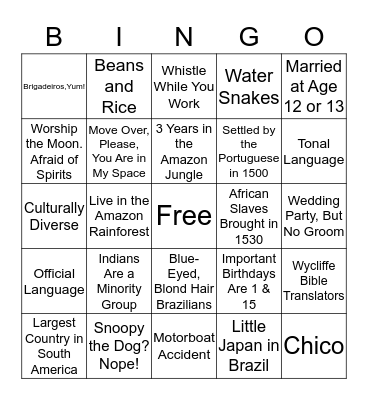 All About Brazil Bingo Card