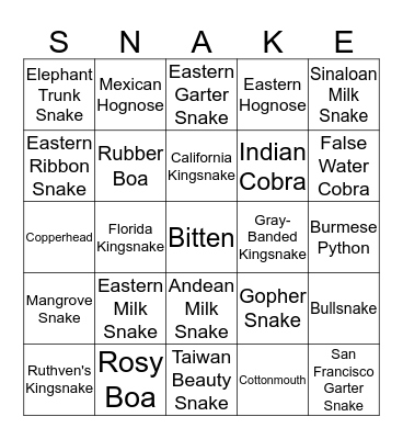 Snake Species Bingo Card