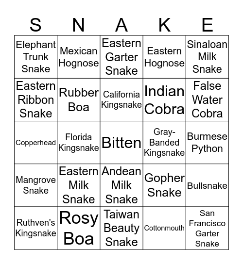 Snake Species Bingo Card