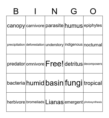 Rainforest Vocabulary Bingo Card