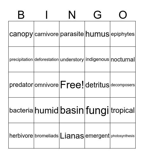 Rainforest Vocabulary Bingo Card