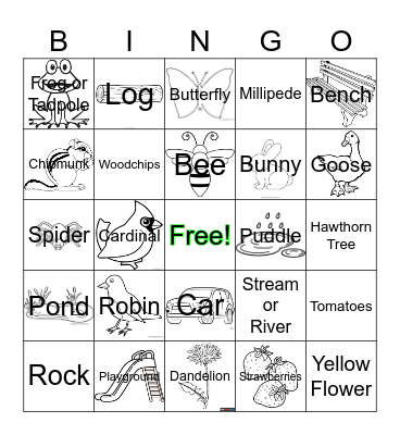 Hawthorn Glen Nature Bingo Card