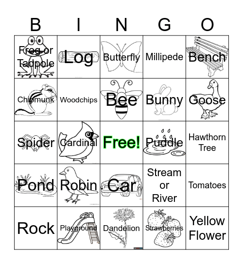 Hawthorn Glen Nature Bingo Card