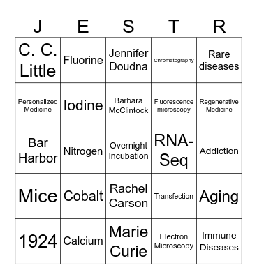 SSP Retreat Bingo Card