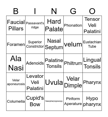 Resonatory System  Bingo Card