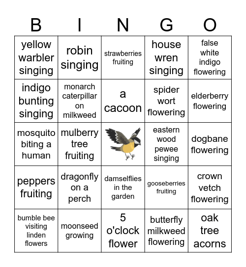 Observation BINGO Card