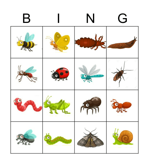 Insecten bingo Card