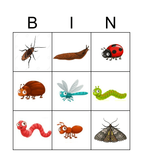 Insecten bingo Card