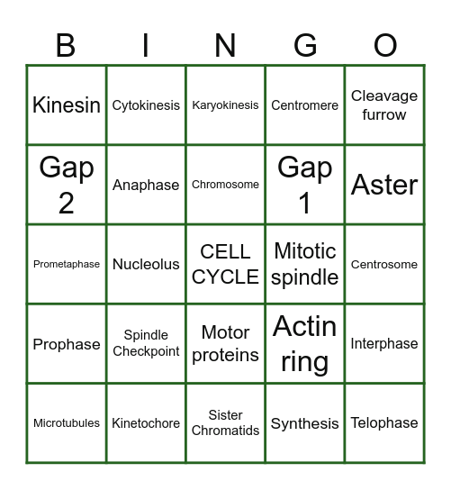 Mitosis Bingo Card