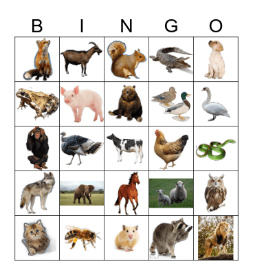 ANIMALS Bingo Card