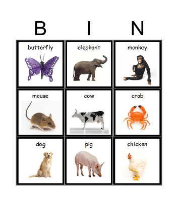 Animals Bingo Card