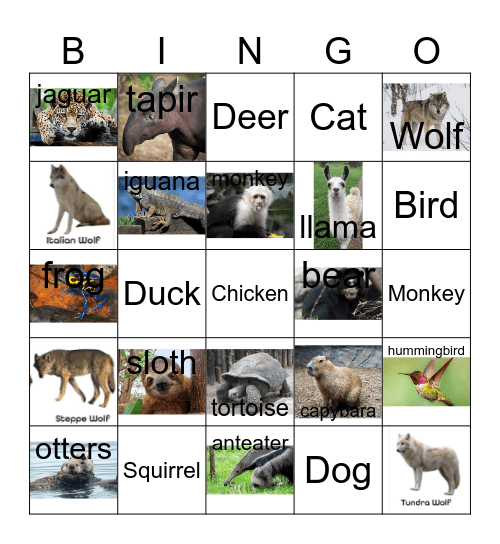 Animals Bingo Card