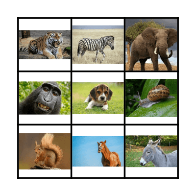 Animal Bingo Card