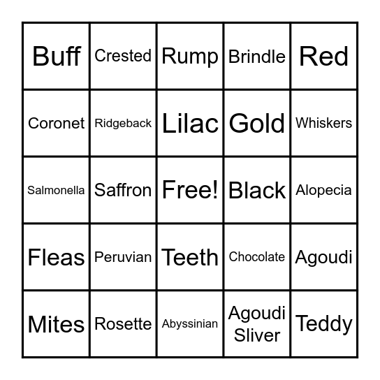 Cavy Bingo Card