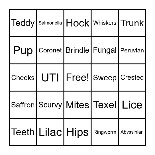 Cavy Bingo Card