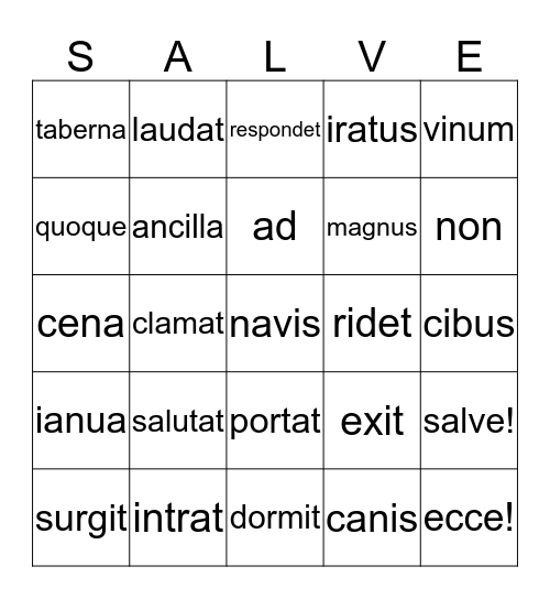 Latin Book I Stages 2 and 3 card 2 Bingo Card